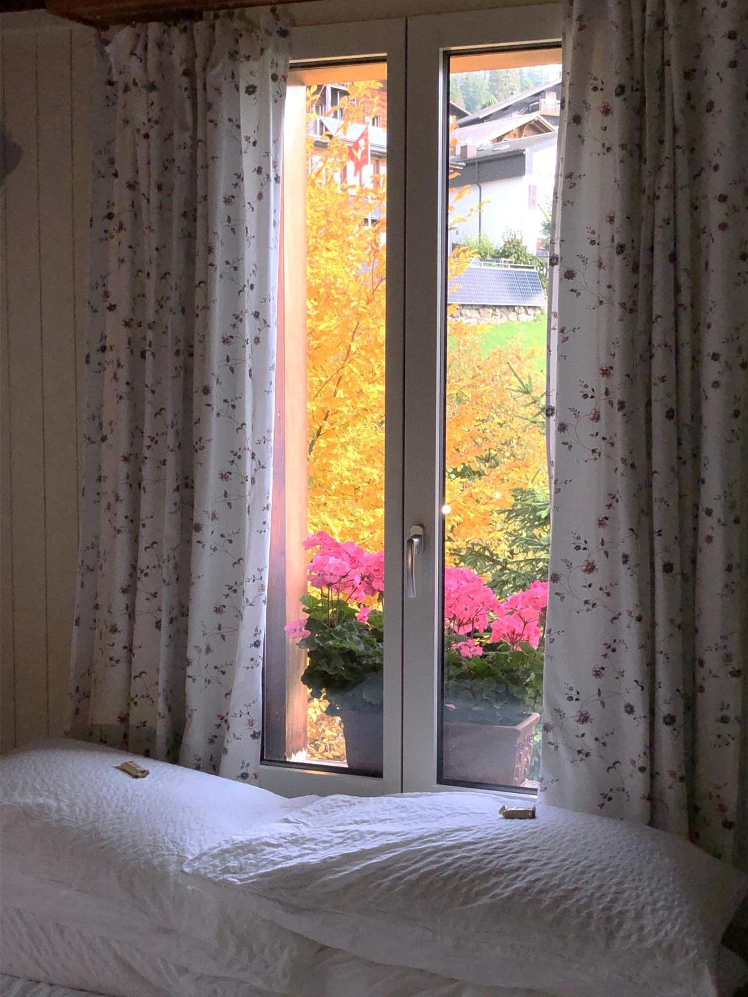 Ula'S Holiday Apartments Beatenberg Bilik gambar