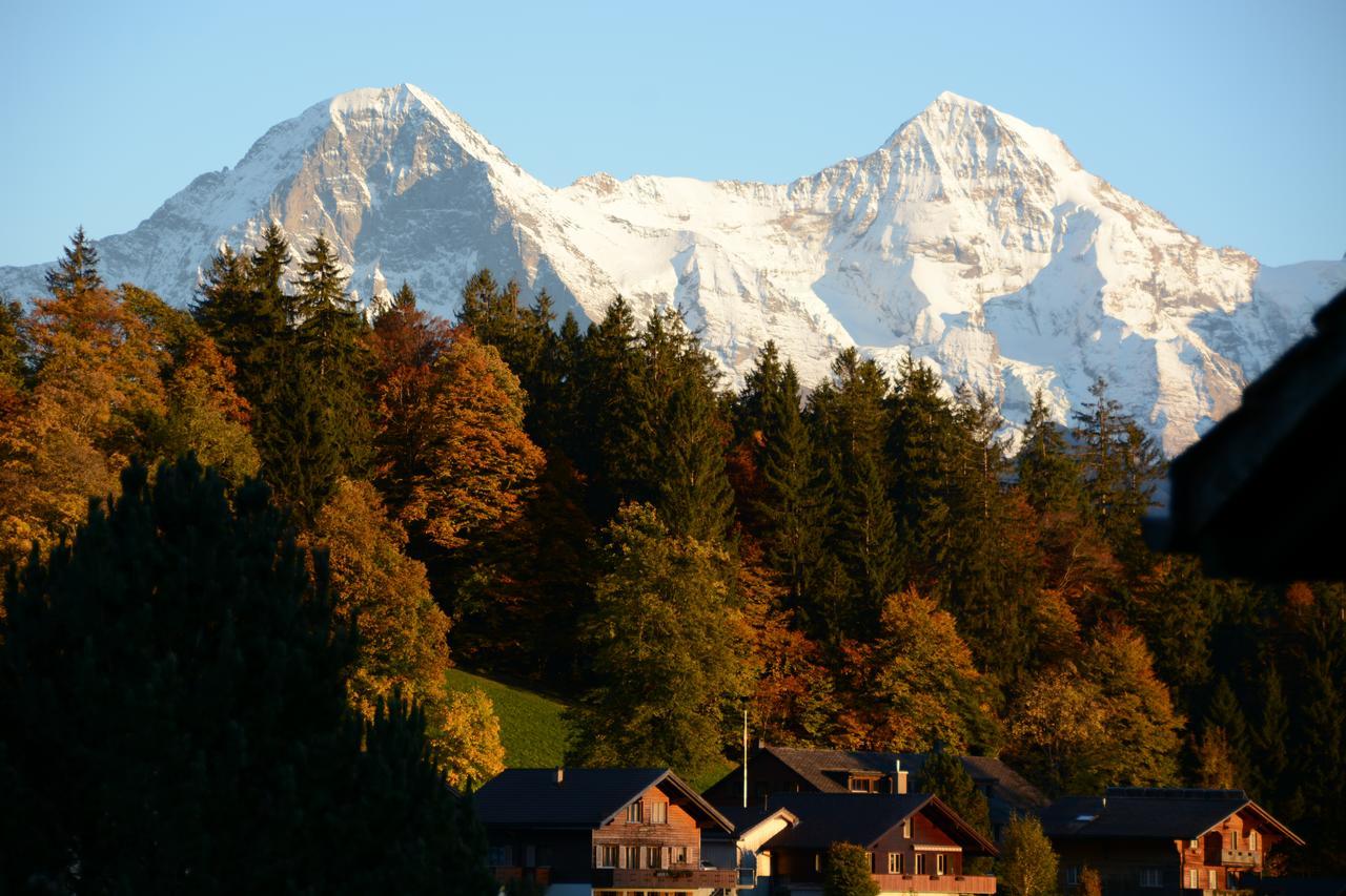 Ula'S Holiday Apartments Beatenberg Luaran gambar